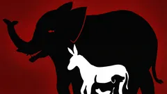 Un’interessante illusione ottica: quanti animali riuscirai a vedere in questa immagine in 10 secondi?