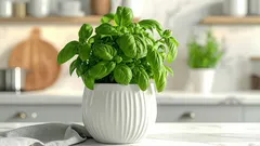 Come far crescere meglio il basilico con un trucchetto casalingo