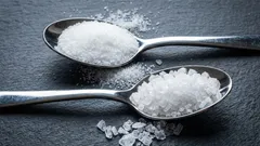 Come scegliere il sale giusto per cucinare e valorizzare al massimo il sapore dei tuoi piatti