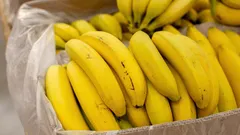 Segnali che è meglio evitare queste banane a tutti i costi: non comprarle mai
