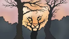 Che cosa vedi in questa immagine? Il test psicologico che mostra come percepisci il mondo.