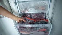 4 segnali che la temperatura del tuo congelatore non è corretta