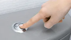 Nei WC moderni ci sono da tempo due pulsanti di scarico, ma molti ancora non sanno in cosa differiscono