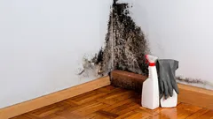 Perché la muffa compare dietro i mobili? Pochi considerano una causa importante.