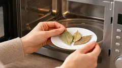 Perché alcune casalinghe mettono una foglia di alloro nel forno a microonde?