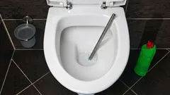 Un errore comune di molti: cosa non bisogna mai buttare nel WC?