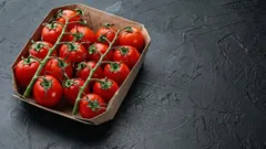 Per quanto tempo i pomodori possono essere conservati in frigorifero rimanendo freschi e sodi?