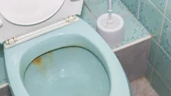 Come pulire il WC dalle incrostazioni gialle: metodi inefficaci ed efficaci