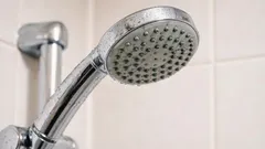 Né candeggina né detergenti: come pulire il soffione della doccia in 5 minuti, secondo il consiglio di un idraulico