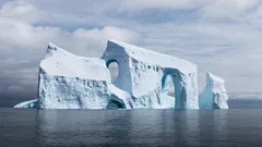 In Antartide scoperto un enorme uovo di una creatura sconosciuta